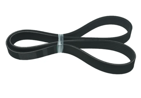 V belt 3040385 for Cummins